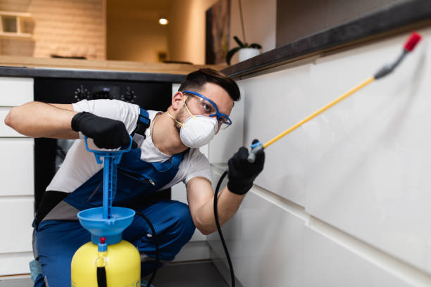 Best Commercial Pest Control Services  in Fairview, CA