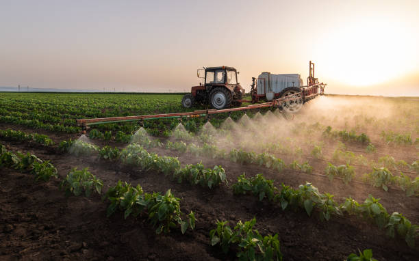 Best Pest Prevention Services  in Fairview, CA