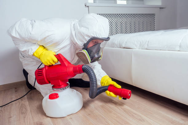 Best Exterminator Services  in Fairview, CA