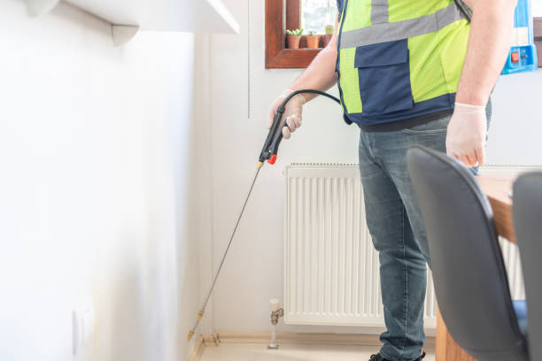 Best Ant Control Services  in Fairview, CA