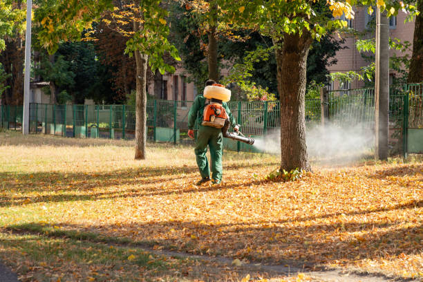 Best Pest Removal Services  in Fairview, CA