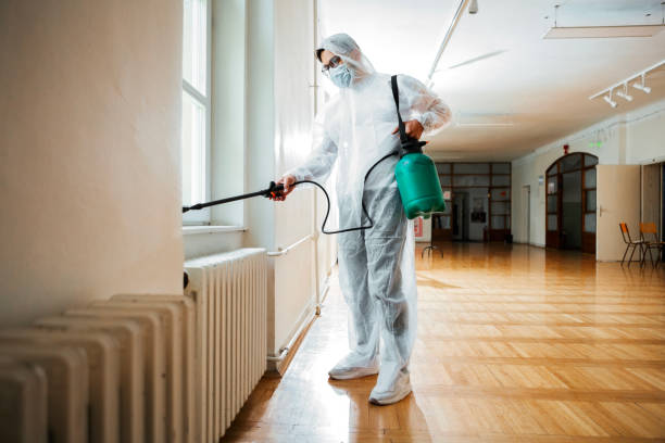 Best Pest Control Near Me in Fairview, CA