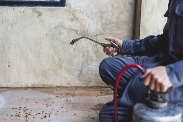 Pest Control Cost in Fairview, CA