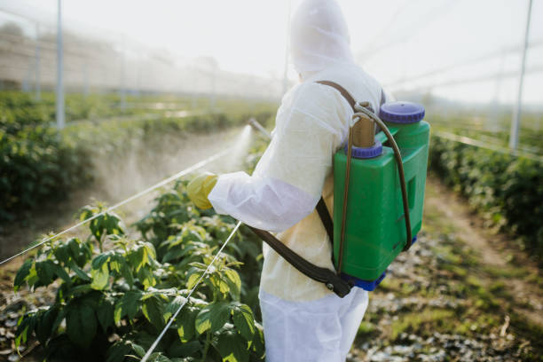 Best Flea Control Services  in Fairview, CA